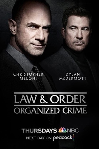 Закон и порядок: Организованная преступность 2 сезон 13 серия [Смотреть Онлайн]