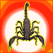 scorpion19799